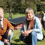 Gutekraft (36)