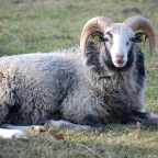 DSC_0084.JPG